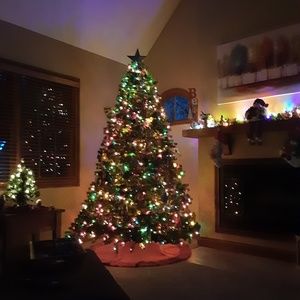 Meet your Posher, Tammie